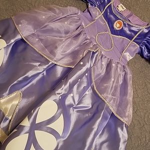 Sofia the 1st dress/costume with crown